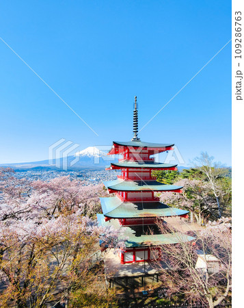 新倉山浅間公園(春) 新倉山浅間公園(春) 109286763