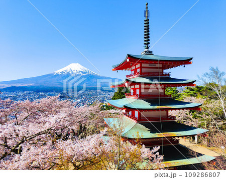 新倉山浅間公園(春) 新倉山浅間公園(春) 109286807