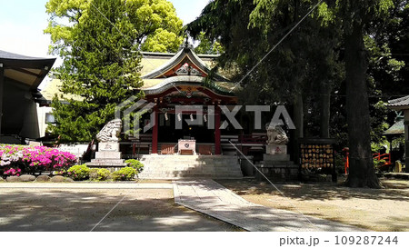 新録に包まれた葛西神社 新録に包まれた葛西神社 109287244