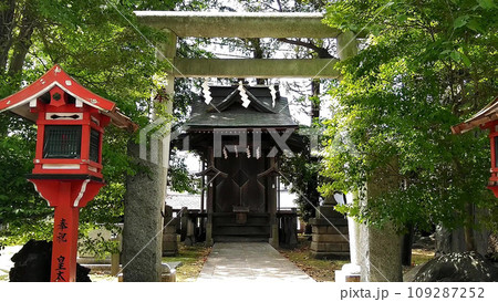 新緑に包まれた神社の参道 109287252