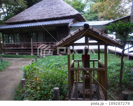 芦花公園 109287279