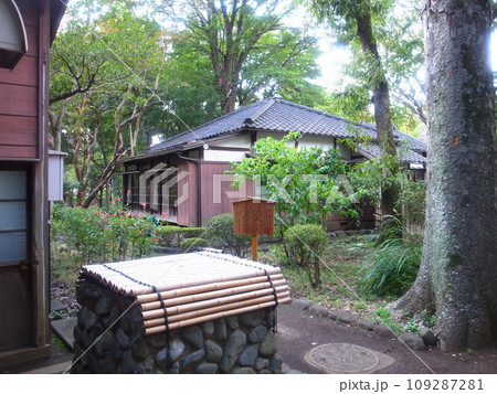 芦花公園 109287281