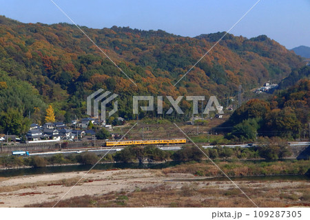 高梁川の紅葉と伯備線115系電車 109287305