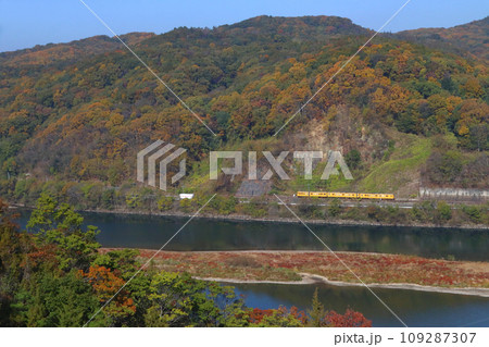 高梁川の紅葉と伯備線115系電車 109287307