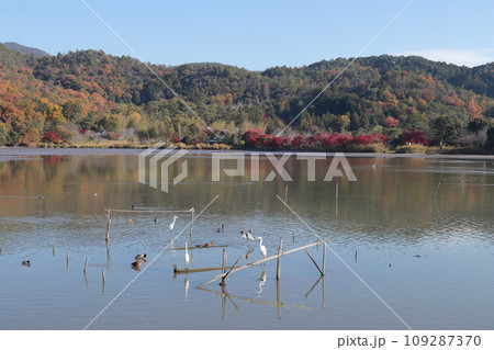 京都 広沢池の風景 京都 広沢池の風景 109287370