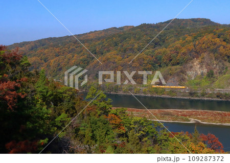 高梁川の紅葉と伯備線115系電車 109287372
