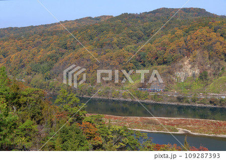 高梁川の紅葉と伯備線227系電車（岡山⇔新見） 109287393