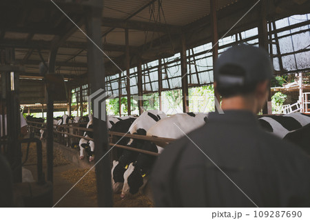 ranch 109287690