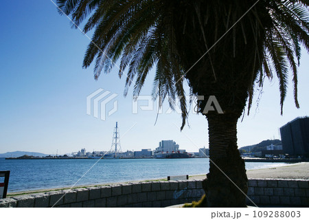 横須賀市 久里浜海岸 横須賀市 久里浜海岸 109288003