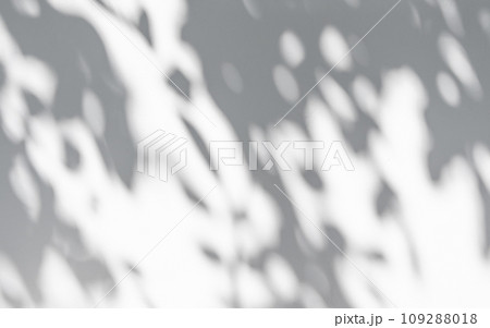 Abstract natural tree leaves shadow on white wall background Abstract natural tree leaves shadow on white wall background 109288018