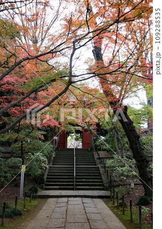 寺院の階段 109288535