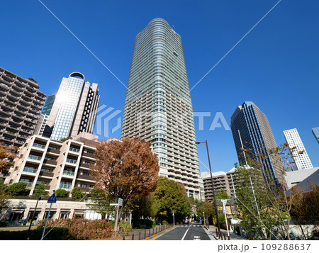 アークヒルズ仙石山森タワーと大けやき広場 東京都 アークヒルズ仙石山森タワーと大けやき広場 東京都 109288637