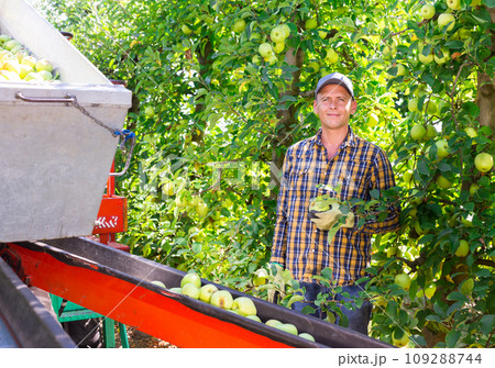 Man standing beside crop collecting machine in plantation Man standing beside crop collecting machine in plantation 109288744