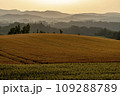夕暮れの美瑛の畑 109288789
