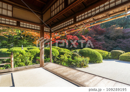 秋の京都　詩仙堂　紅葉が色づく書院庭園 109289195