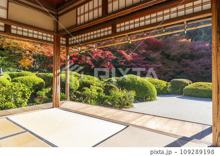 秋の京都 詩仙堂 紅葉が色づく書院庭園 秋の京都 詩仙堂 紅葉が色づく書院庭園 109289198