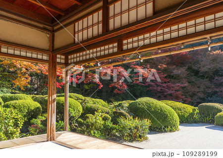 秋の京都 詩仙堂 紅葉が色づく書院庭園 秋の京都 詩仙堂 紅葉が色づく書院庭園 109289199