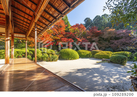 秋の京都　詩仙堂　紅葉が色づく書院庭園 109289200