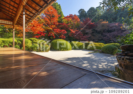 秋の京都 詩仙堂 紅葉が色づく書院庭園 秋の京都 詩仙堂 紅葉が色づく書院庭園 109289201