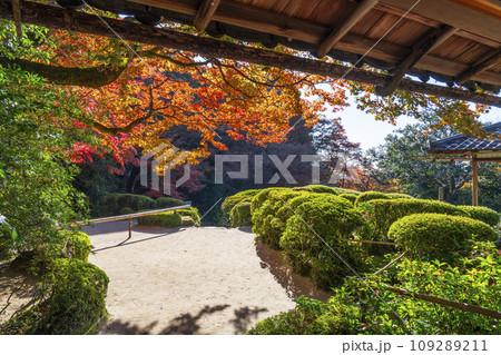秋の京都　詩仙堂　詩仙の間から見る紅葉が色づく庭園 109289211
