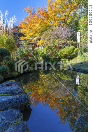 秋の京都　詩仙堂　百花塢庭園の池の水鏡 109289215