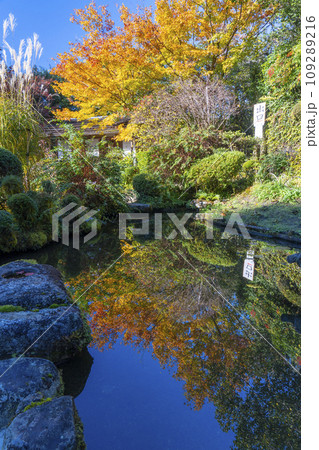 秋の京都　詩仙堂　百花塢庭園の池の水鏡 109289216