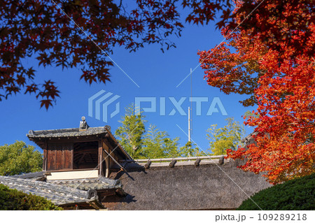 秋の京都　詩仙堂　嘯月楼と紅葉 109289218