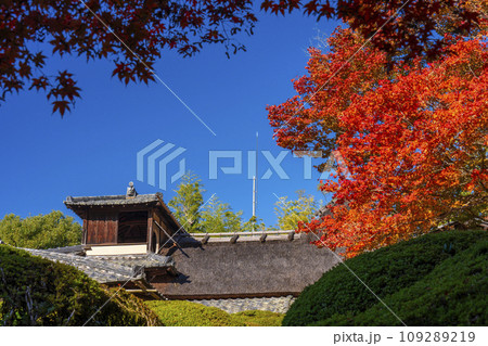 秋の京都 詩仙堂 嘯月楼と紅葉 秋の京都 詩仙堂 嘯月楼と紅葉 109289219