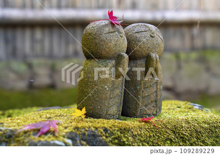 秋の詩仙堂 苔むした庭園にたたずむ愛らしいお地蔵様 秋の詩仙堂 苔むした庭園にたたずむ愛らしいお地蔵様 109289229