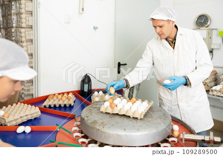 Young man farmer in white coat holding special tray with fresh chicken eggs after sorting and labeling on farm Young man farmer in white coat holding special tray with fresh chicken eggs after sorting and labeling on farm 109289500