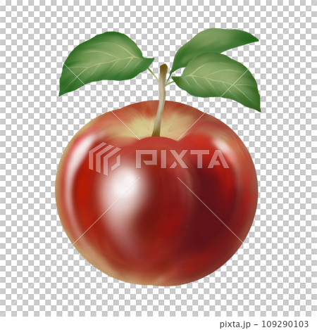 赤いリンゴのイラスト　 109290103