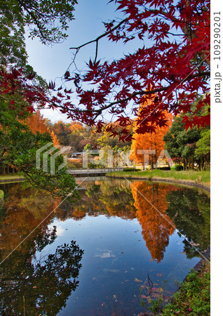 紅葉真っ盛りのランドマーク 紅葉真っ盛りのランドマーク 109290201