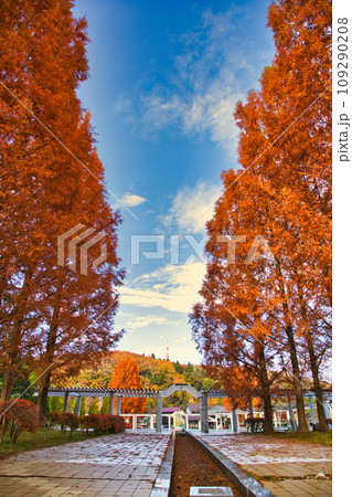 紅葉真っ盛りのランドマーク 109290208