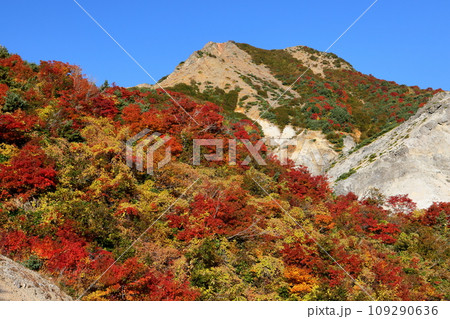 福島県福島市　高湯温泉と土湯峠を結ぶ磐梯吾妻スカイラインのカモシカ沢付近の紅葉 109290636