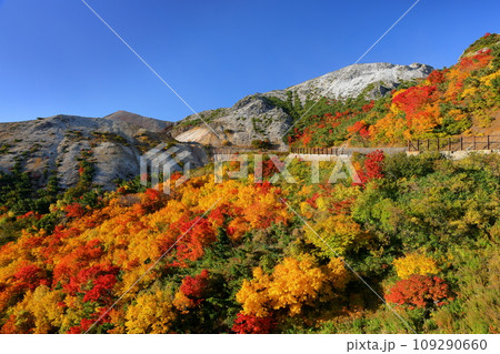 福島県福島市　高湯温泉と土湯峠を結ぶ磐梯吾妻スカイラインのカモシカ沢付近の紅葉 109290660