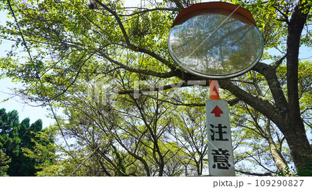 カーブミラーのある風景(自然に囲まれたミラー) カーブミラーのある風景(自然に囲まれたミラー) 109290827