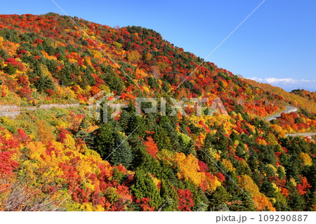 福島県福島市　高湯温泉と土湯峠を結ぶ磐梯吾妻スカイラインの乙女沢付近の紅葉 109290887