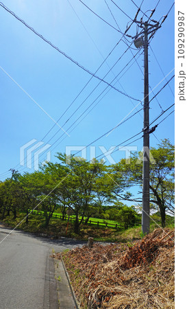 山奥に立つ電柱 山奥に立つ電柱 109290987
