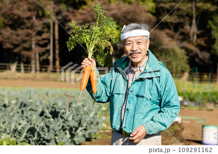 野菜を収穫する男性 109291162