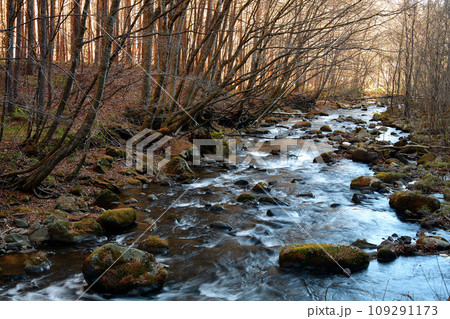 塗川　群馬県利根郡片品村 109291173