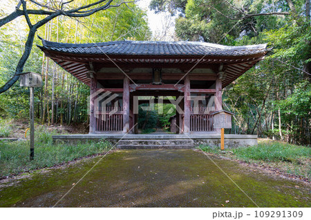 勝持寺の仁王門 109291309