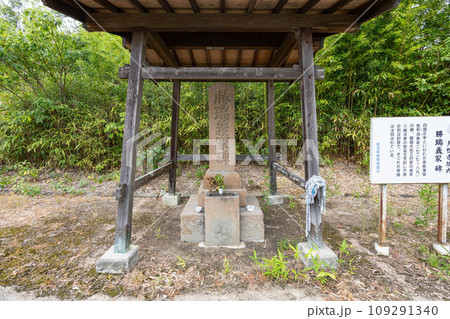 勝瑞城の勝瑞義家碑 109291340