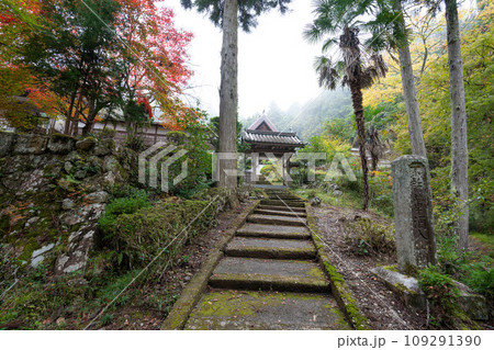龍隠寺の参道と門 龍隠寺の参道と門 109291390