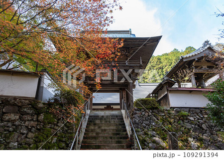玉雲寺の山門 109291394