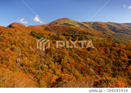 福島県耶麻郡猪苗代町 高湯温泉と土湯峠を結ぶ磐梯吾妻スカイラインの国見台付近で見られる紅葉 福島県耶麻郡猪苗代町 高湯温泉と土湯峠を結ぶ磐梯吾妻スカイラインの国見台付近で見られる紅葉 109291419
