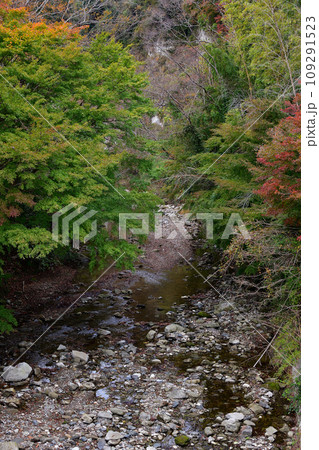 志駒川渓谷 千葉県富津市 もみじロード 船戸橋周辺 志駒川渓谷 千葉県富津市 もみじロード 船戸橋周辺 109291523