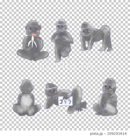 Gorilla Gorilla 109291614