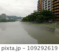広島県広島市南区 比治山 京橋川 夏の朝霧 東広島橋から見た風景 109292619