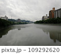 広島県広島市南区 比治山 京橋川 夏の朝霧 東広島橋から見た風景 109292620