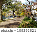 広島県広島市南区 比治山下 京橋川 秋の遊歩道 東広島橋 109292621